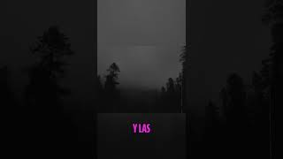 La Voz de Mi Madre: Un Susurro en el Duelo/cuentos para no dormir