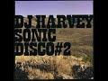 DJ HARVEY – SONIC DISCO #2