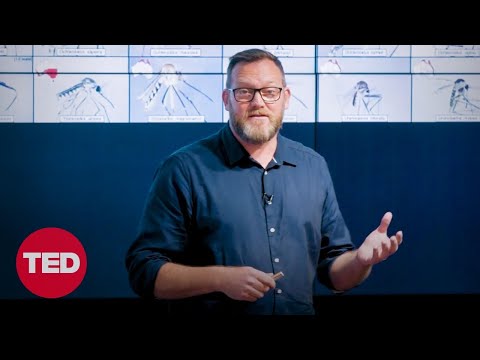 How to design mosquitoes out of cities