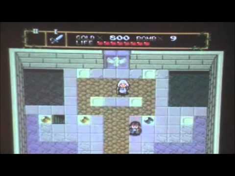 Neutopia Wii