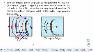 Eğitim Vadisi 10.Sınıf Fizik 12.Föy Dalgalar 1 Konu Anlatım Videoları