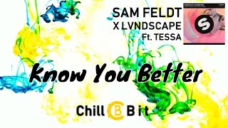 Sam Feldt X LVNDSCAPE - Know You Better ft. Tessa