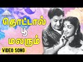 தொட்டால் பூ மலரும் Video Song Padagotti M G Ramachandran Viswanathan