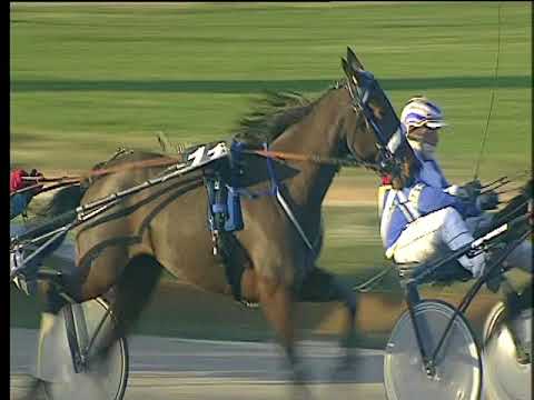 Trotto 19/12/2017 - 1ª corsa