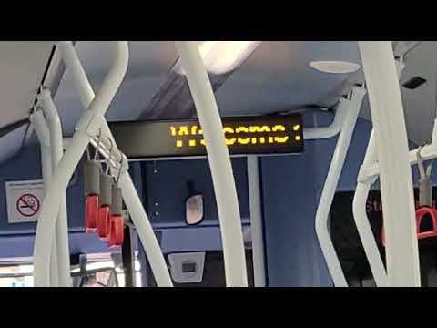 East Gateshead Orbit 51/52 no longer Orbit 😢