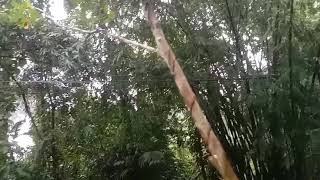 Download lagu REVINA ALVIRA 'TAJAMNYA KARANG - SEBUJUR BANGKAI' | KUMPULAN DANGDUT TRENDING COVER BY REVINA ALVIRA mp3 Download lagu REVINA ALVIRA 'TAJAMNYA KARANG - SEBUJUR BANGKAI' | KUMPULAN DANGDUT TRENDING COVER BY REVINA ALVIRA mp3