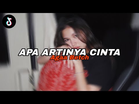 DJ APA ARTINYA CINTA - Agaa Betch