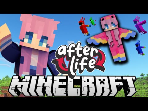 Lizzy Soars High! Spectacular Flight in Afterlife SMP