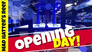 Opening Day of My Fish Store!