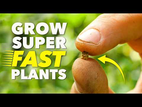 You Must Sow These Seeds in October