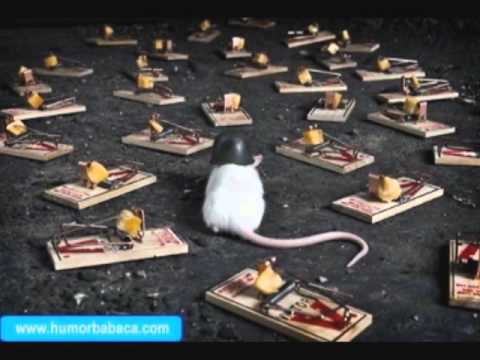 MC Thiago da PG Campo Minado (( DJ NINO )) WWW.RADIOCDM.NET