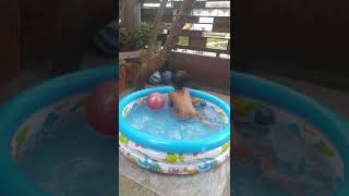 Download lagu serunya mandi di kolam #shorts #kianotigerwong #mandi mp3