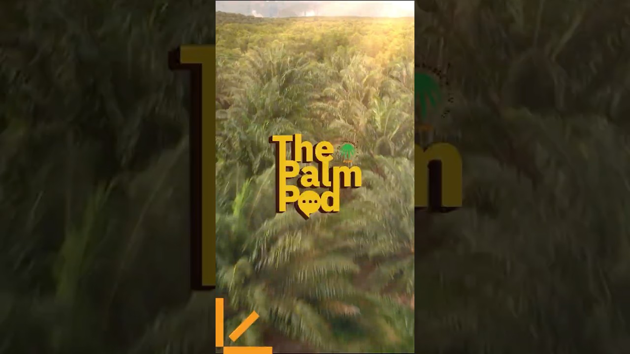 The Palm Pod EP9 - From Jungle to Standards: Taking Conservation Beyond the Forest