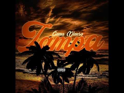 Camo Dinero-Tampa