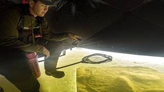 The Most Incredible Ice Fishing Strike (Topwater?!)