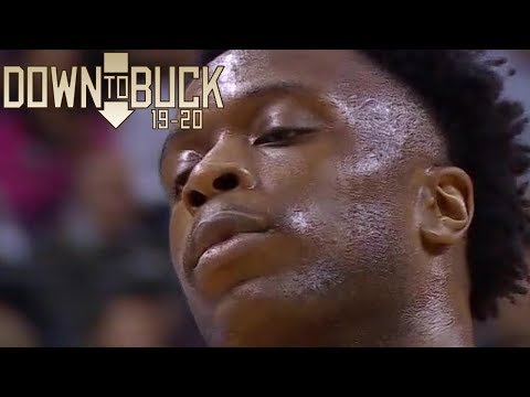 OG Anunoby Career High 24 Points Full Highlights (11/18/2019)