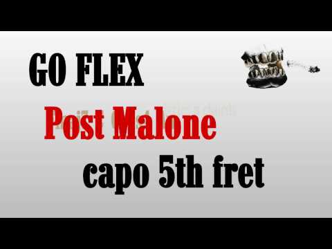 Go Flex - Post Malone