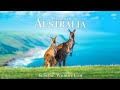 Animals of Australia 4K - Scenic Wildlife Film With Calming Music