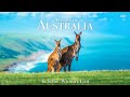 Animals of Australia 4K - Scenic Wildlife Film With Calming Music