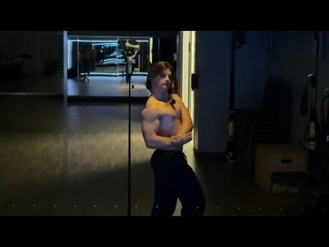 Bulk 1 Day 11 - Chest and tris 