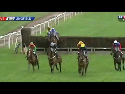 Horse racing thrills and spills - Horse says no!