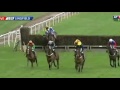 Horse Racing Thrills And Spills Horse Says No