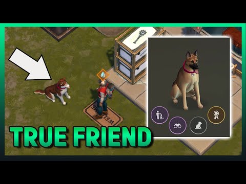 WORST TRUE FRIEND DOG SKILL | Last Day On Earth Survival
