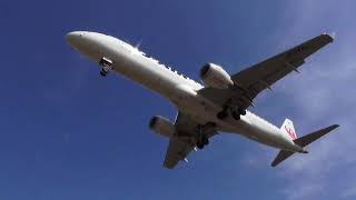 【大迫力】頭の上すぐ近くで飛行機を観察できる千里川土手