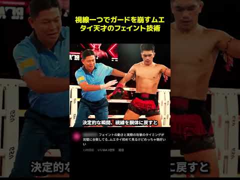 視線一つでガードを崩すムエタイ天才のフェイント技術