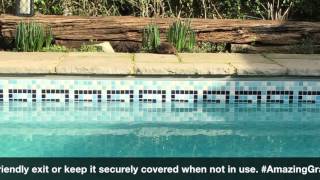 #AmazingGrace  Hedgehog Challenge Fact 15