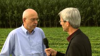 preview picture of video 'BIOENERGY 2020+ GmbH Location Wieselburg ENG'