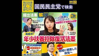 国民民主党  サブチャンネル ★年少扶養控除復活法案 4月24日
