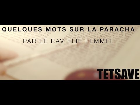 Honneur, gloire et splendeur... - Rav Elie Lemmel - Parasha Tetsavé