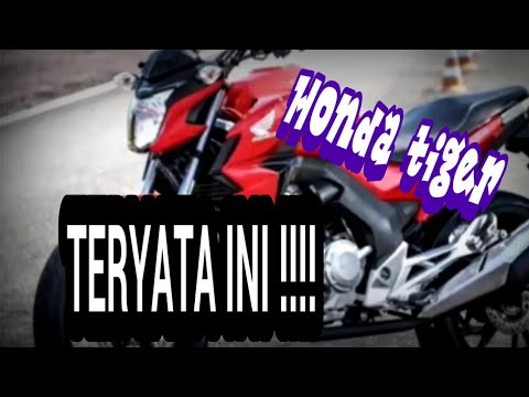 Obat-obatan untuk meningkatkan potensi pada pria tanpa efek samping membeli Impotensi obat tradisional