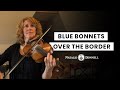 Blue Bonnets Over The Border - Natalie & Donnell