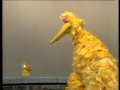 Classic Sesame Street Original Big Bird And A Little Bird