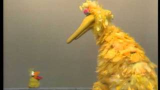 Classic Sesame Street - Original big Bird and a little bird