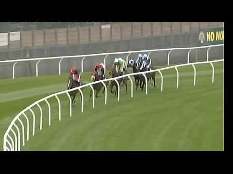 2008 4yo Anniversary Hurdle - Aintree meeting