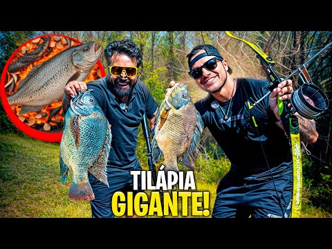 Fishing for GIANT Tilapia with Bow and Arrow and Crossbow! *Catch and Cook*