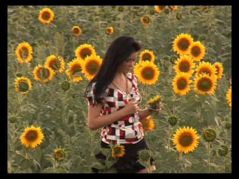 Tinu Veresezan - Vad cum zboara viata mea