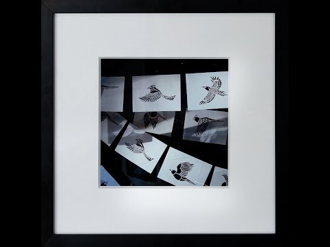 Steve Puryear Interview -  Love is Love