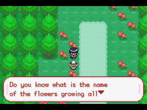 Touhoumon Another World Part 13 - Muenzuka