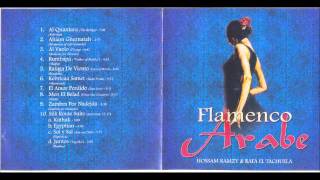 Hossam Ramzy & Rafa El Techuela - Silent Pride