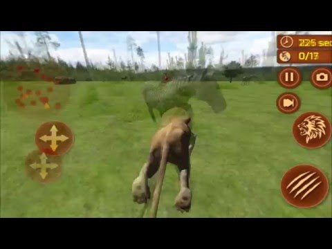 Jungle King: Real Lion Sim Video
