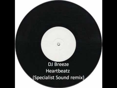 Breeze & Styles - Heatbeatz (Specialist Sound remix Feat MC Whizzkid)