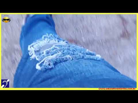 Tv Educativa Giro Pela Cidade Marília S.P