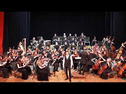 Andrey Denisov - “La donna è mobile” from G. Verdi's "Rigoletto" (2019)