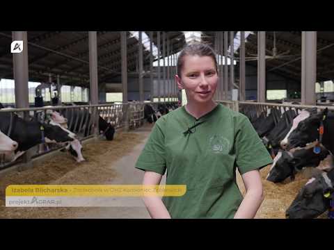 , title : '#2 Misja zdrowe racice krów: OHZ Kamieniec Ząbkowicki | Projekt Agrar'