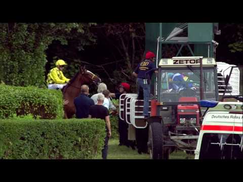 Galopprennbahn Dresden 15.07.2017 - Rennen 3