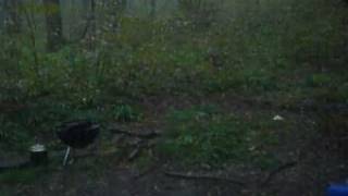 Kaz vs. Wild, Thursday morning rain. Survival, bug out  and Rustic Camping practice